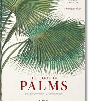 Martius. the Book of Palms Online Hot Sale