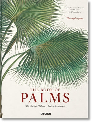 Martius. the Book of Palms Online Hot Sale