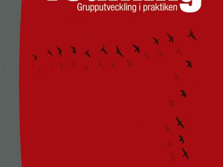 Teaming : grupputveckling i praktiken Cheap