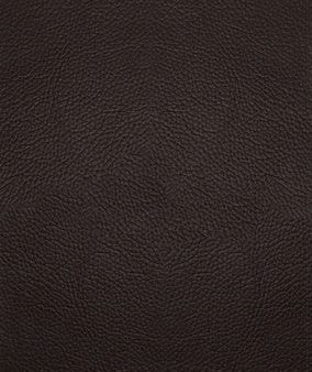 ESV Study Bible, Large Print (Buffalo Leather, Deep Brown) Sale