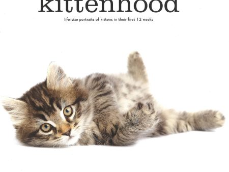 Kittenhood on Sale