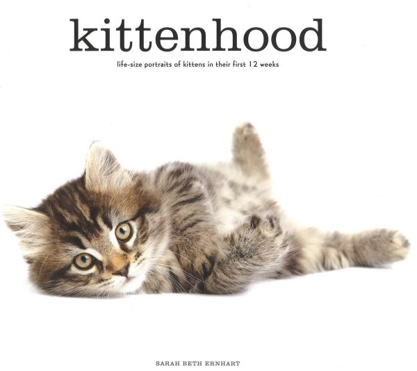 Kittenhood on Sale